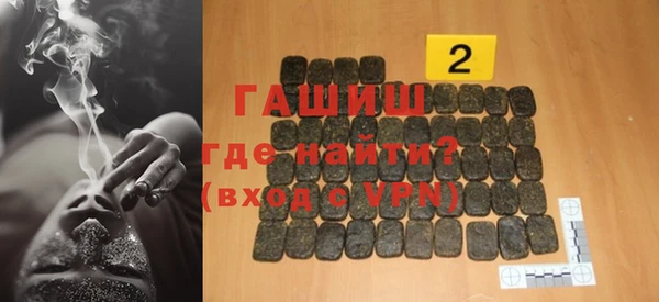 индика Козельск