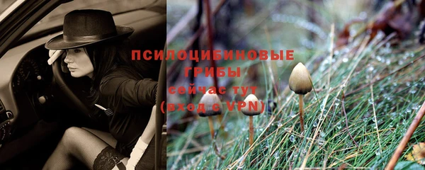 бошки Киренск