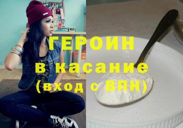 индика Козельск