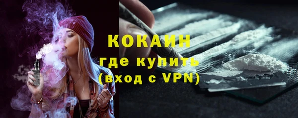 индика Козельск