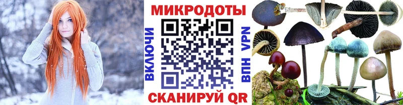Галлюциногенные грибы Psilocybine cubensis  Купить  Верхний Уфалей 